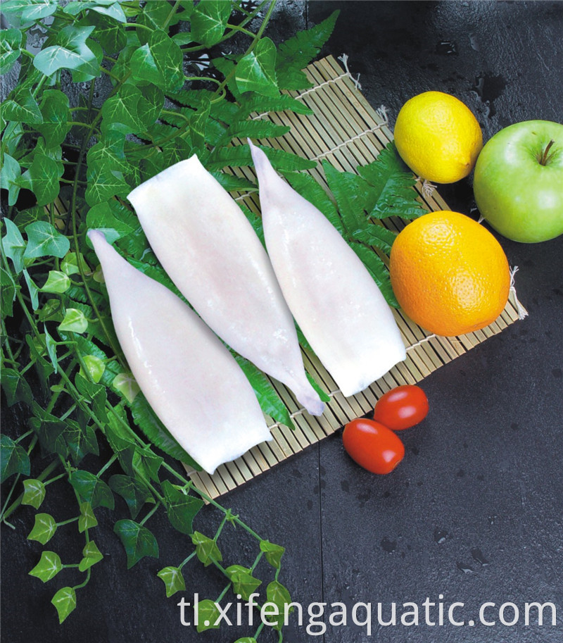 Ilex Squid Illex Squid